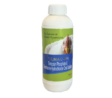 product13_img